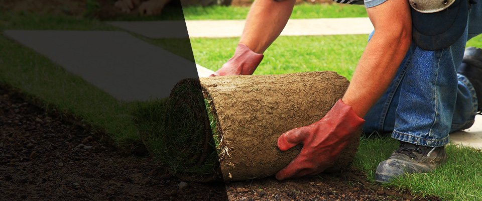 Polson Landscapers